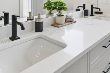 Banyo lavabosu beyaz ve iki musluğu var. Lavabo bir ayna ve saksı bitkisiyle çevrili.