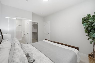 Beyaz yataklı bir yatak odası, gri bir battaniye ve saksı bitkisi. Oda temiz ve iyi aydınlatılmış, sakin ve huzurlu bir atmosfer yayıyor.