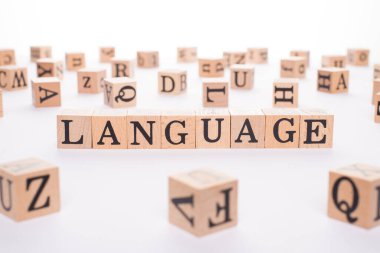 Dil eğitimi kavramı. Kelime dilini izole edilmiş beyaz arkaplan yapan tahta küplerin görüntüsünü kapat