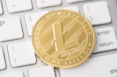 Tepede, arka planda beyaz dizüstü bilgisayarda duran altın litekoinin yakın görüntü fotoğrafı var.