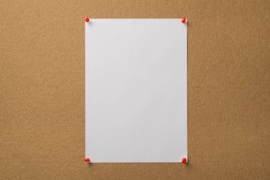 Tahtaya kırmızı raptiyeler iliştirilmiş, dikey, berrak bir koyun resmi.