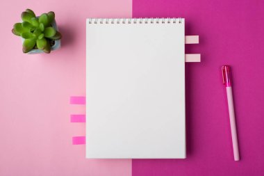 Tepede, görüntünün üstünde düz bir fotoğraf uzanıyor. Üzerinde, pürüzsüz bir not defteri, yarım parlak ve sulu bitkilerle birlikte pastel pembe arkaplan izole edilmiş.