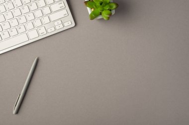 Gri arkaplanda boş alan ile izole edilmiş yeşil bitki klavyesi ve kalemin tepedeki fotoğrafı