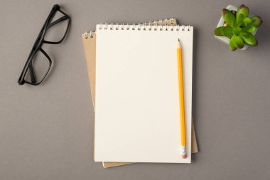 İki boş defterin üzerinde yeşil bitki bardakları ve gri arka planda izole edilmiş kalem.