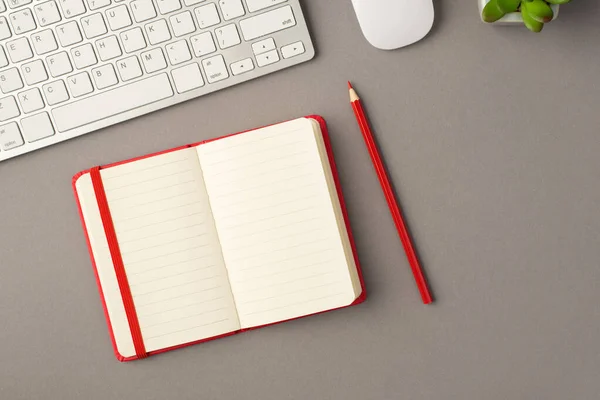 Above photo of plant keyboard computer mouse notebook and red pencil isolated on the grey background with copyspace