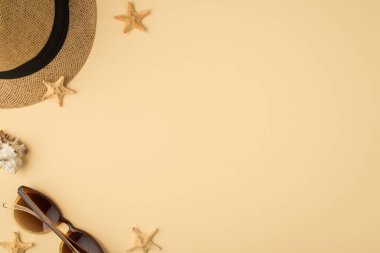 Güneş gözlüklü deniz kabuğu ve deniz yıldızlarının, izole edilmiş bej arkaplandaki fotosu.