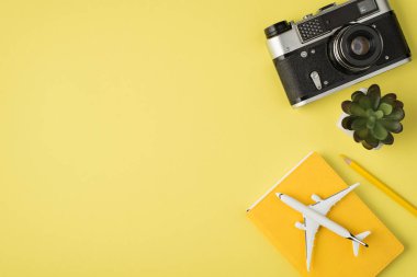 Kamera görüntüsü bitkisel kalem ve uçak modelinin izole edilmiş pastel arka planda ve telif boşluğunda çekilmiş fotoğrafı.