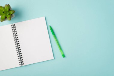 Açık telif kitabı yeşil kalem ve bitkinin, izole edilmiş mavi arkaplan ve boş alan üzerindeki üst görünüm fotoğrafı
