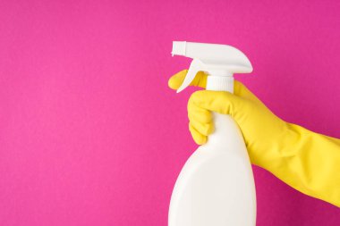 Sarı kauçuk eldivenli el fotoğrafı deterjan şişesini etiketsiz bir şekilde fotokopi ile izole edilmiş pembe arka plandaki atomlaştırıcıya basıyor.