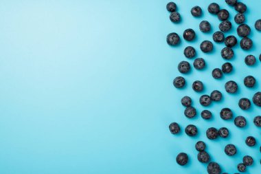 Sağ taraftaki dağınık yaban mersinlerinin sol taraftaki izole edilmiş pastel mavi arka planda en üstteki fotoğrafı.