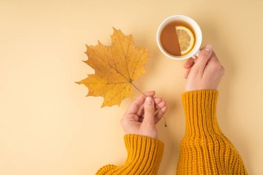 Sarı sonbahar akçaağaç yaprağı ve limon dilimli limon dilimli turuncu arka planda bir fincan çay tutan kadın ellerini gösteren ilk kişi.
