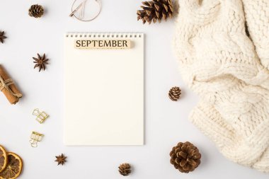 Beyaz eşarp planlayıcısının en üstteki fotoğrafı. Üzerinde yazı olan Eylül kozalakları kurutulmuş limon dilimleri tarçın çubukları altın cilt tokaları ve izole edilmiş beyaz arka planda şık gözlükler.