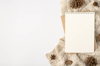 Çam kozalaklı iki dizüstü bilgisayarın üst görünüm fotoğrafı ve izole edilmiş beyaz arka planda boş alan olan süveter üzerinde anason.