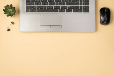 Dizüstü bilgisayar fare bitkisinin ve bej arkaplanda izole edilmiş ataçların tepe üstü fotoğrafı.