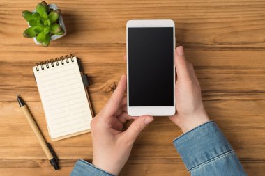 Kalem ve yeşil bitkinin ahşap arka planda izole edilmiş resmi.