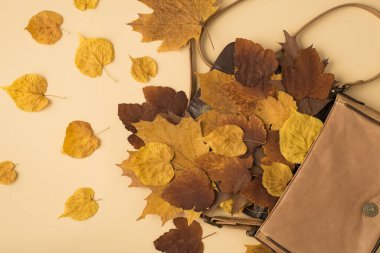 İzole edilmiş bej arka planda dağınık sarı ve kahverengi sonbahar yapraklı açık deri çantanın en üstteki fotoğrafı.
