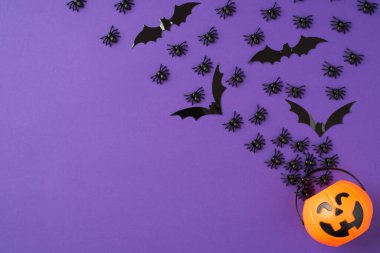 Cadılar Bayramı dekorasyonunun en üst görüntüsü. Örümcekler ve yarasalar kabak sepetinde sürünüyor ve uçuyor. İzole edilmiş menekşe arkaplanı ve boş alan.