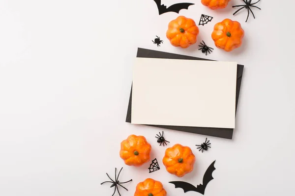 Top view photo of black envelope white card pumpkins spiders web and bats silhouettes on isolated white background with copyspace