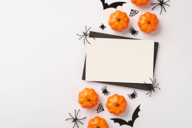 Beyaz kabak kabakları üzerinde siyah örümceklerin, izole edilmiş beyaz arka planda yarasaların siluetlerini gösteren üstten bir fotoğraf.