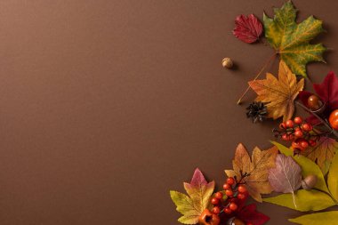 Sonbahar yaşamı yaprakları böğürtlen kabakları ve meşe palamudu sağ kenar boyunca sıcak kahverengi bir zemin üzerinde canlandırır sonbahar dekorunu ve mevsimsel havayı