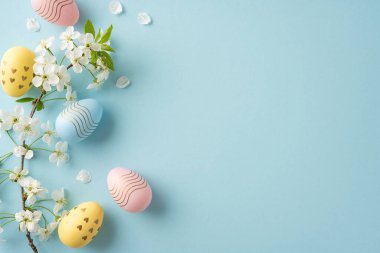 Pembe, mavi ve sarı renkte Paskalya yumurtaları açık mavi bir arka planda beyaz çiçeklerin yanında asılı durur. Bahar kutlamaları ve Paskalya kartları ve mevsimsel pazarlama için sıcak bir karşılama sunar.