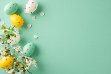 Canlı Paskalya sahnesinde nane yeşili bir arka planda beyaz çiçekli bir dalda pastel yumurtalar var. Paskalya tebrik kartları, mevsimlik dekorasyon ve bahar pazarlaması için ideal.