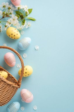 Pastel dikey Paskalya yumurtaları hasır sepetten beyaz çiçeklerle tamamlanmış yumuşak mavi bir yüzeye dökülür. Paskalya dekorunu vurgulayan neşeli bir bahar sahnesi