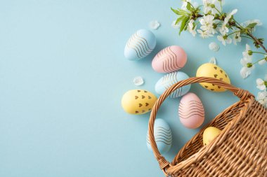 Pastel yumurtalar hasır sepetinden dökülüyor. Beyaz çiçekler yumuşak mavi bir arka planda. Bahar yenilenmesini ve Paskalya kutlamalarını çağrıştırıyor.