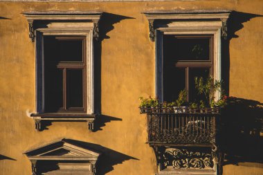 Zarif yakışıklı adam puro ve tütün yakıyor.