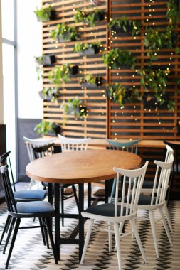 Sansewieria saksıları ve meyveler masaya yakın, saksı bitkisi.