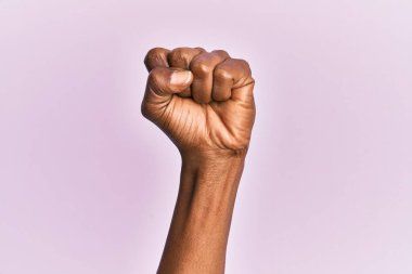 Siyahi orta yaşlı bir kadının kolları ve elleri pembe izole edilmiş arka planda protesto ve devrim jestleri yaparak güç ve güç gösterisi yapıyor. 
