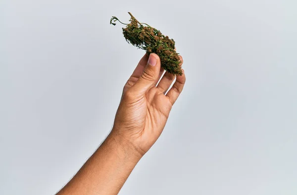 Hand Van Een Spaanse Man Met Marihuana Knop Cannabis Een — Stockfoto