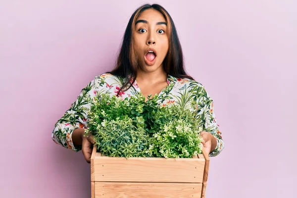 Jovem Mulher Latina Segurando Panela Madeira Planta Com Medo Chocado — Fotografia de Stock