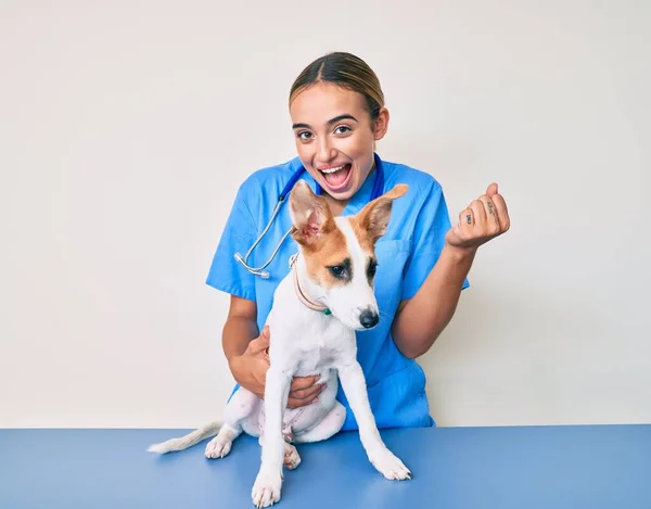 Joven Hermosa Rubia Veterinaria Mujer Chequeando Salud Del Perro Gritando — Foto de Stock