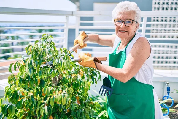 Senior Vrouw Met Grijs Haar Dragen Handschoenen Tuinman Schort Tuinieren — Stockfoto