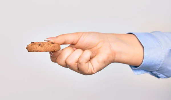 Mão Jovem Caucasiana Segurando Delicioso Biscoito Chocolate Sobre Fundo Branco — Fotografia de Stock