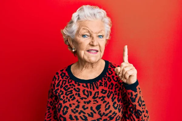 Senior Mulher Cabelos Grisalhos Vestindo Roupas Casuais Sorrindo Com Uma — Fotografia de Stock