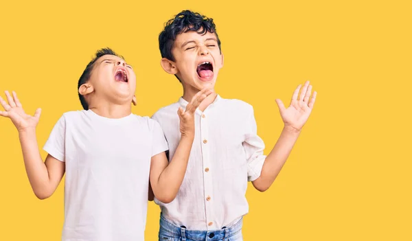 Casal Irmãos Pequenos Juntos Vestindo Roupas Casuais Celebrando Louco Louco — Fotografia de Stock