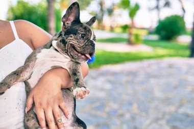 Güzel bir köpek yavrusu tutan kadın. Parkta mutlu bir buldog.