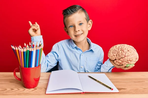 Bedårande Kaukasiska Unge Hålla Hjärnan Medan Studerar För Skolan Ler — Stockfoto