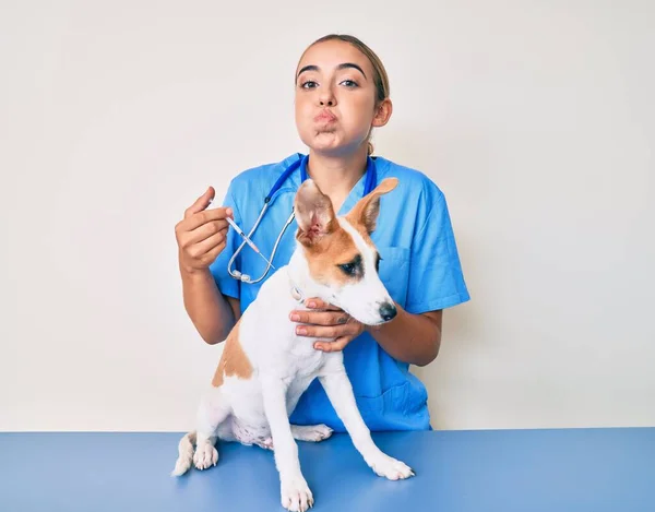 Giovane Bella Donna Veterinaria Bionda Mettendo Vaccino Cucciolo Cane Gonfiore — Foto Stock