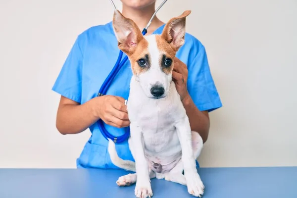 Giovane Cucciolo Veterinario Andando Controllo Sanitario Cane Esaminatore Professionista Utilizzando — Foto Stock