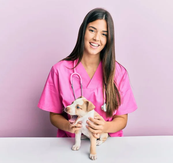 Giovane Ragazza Veterinaria Ispanica Sorridente Felice Esaminando Cagnolino Alla Clinica — Foto Stock