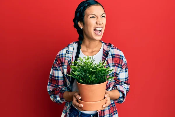 Mulher Hispânica Bonita Vestindo Camisa Jardineiro Segurando Panela Planta Irritado — Fotografia de Stock