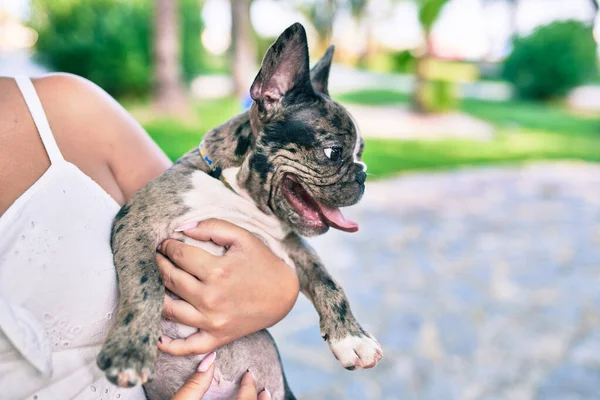 Propietaria Femenina Sosteniendo Hermoso Cachorro Manchado Bulldog Francés Feliz Parque —  Fotos de Stock