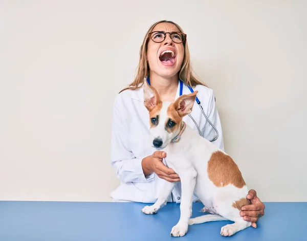 Joven Hermosa Rubia Veterinaria Mujer Comprobar Perro Salud Enojado Loco — Foto de Stock