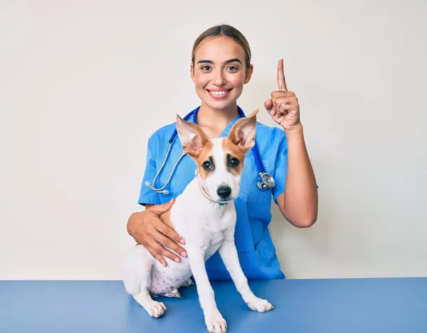 Giovane Bella Donna Veterinaria Bionda Controllare Salute Del Cane Sorpreso — Foto Stock