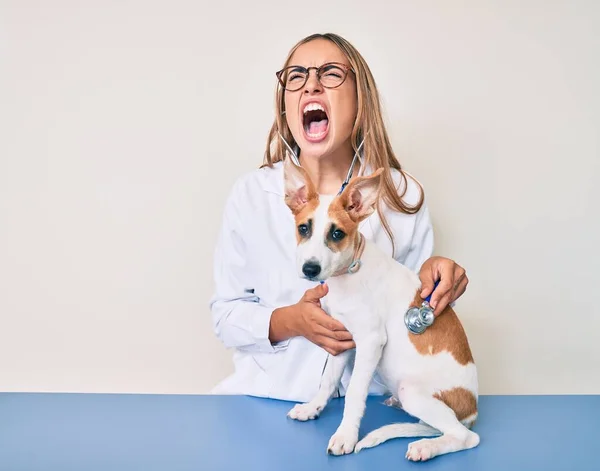 Giovane Bella Donna Veterinaria Bionda Controllare Salute Del Cane Utilizzando — Foto Stock