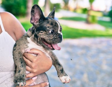 Güzel bir köpek yavrusu tutan kadın. Parkta mutlu bir buldog.