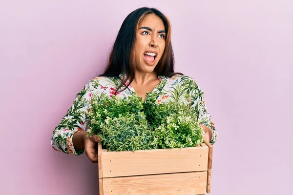 Mladá Latinská Žena Držící Dřevěnou Květináč Vztekle Šíleně Ječela Rozzuřená — Stock fotografie
